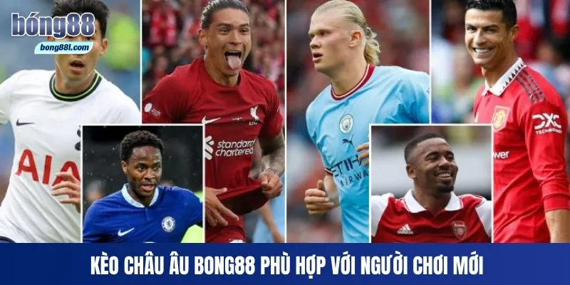 Kèo châu Âu Bong88 phù hợp với người chơi mới