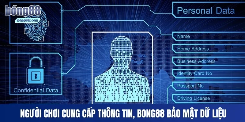Người chơi cung cấp thông tin, Bong88 bảo mật dữ liệu